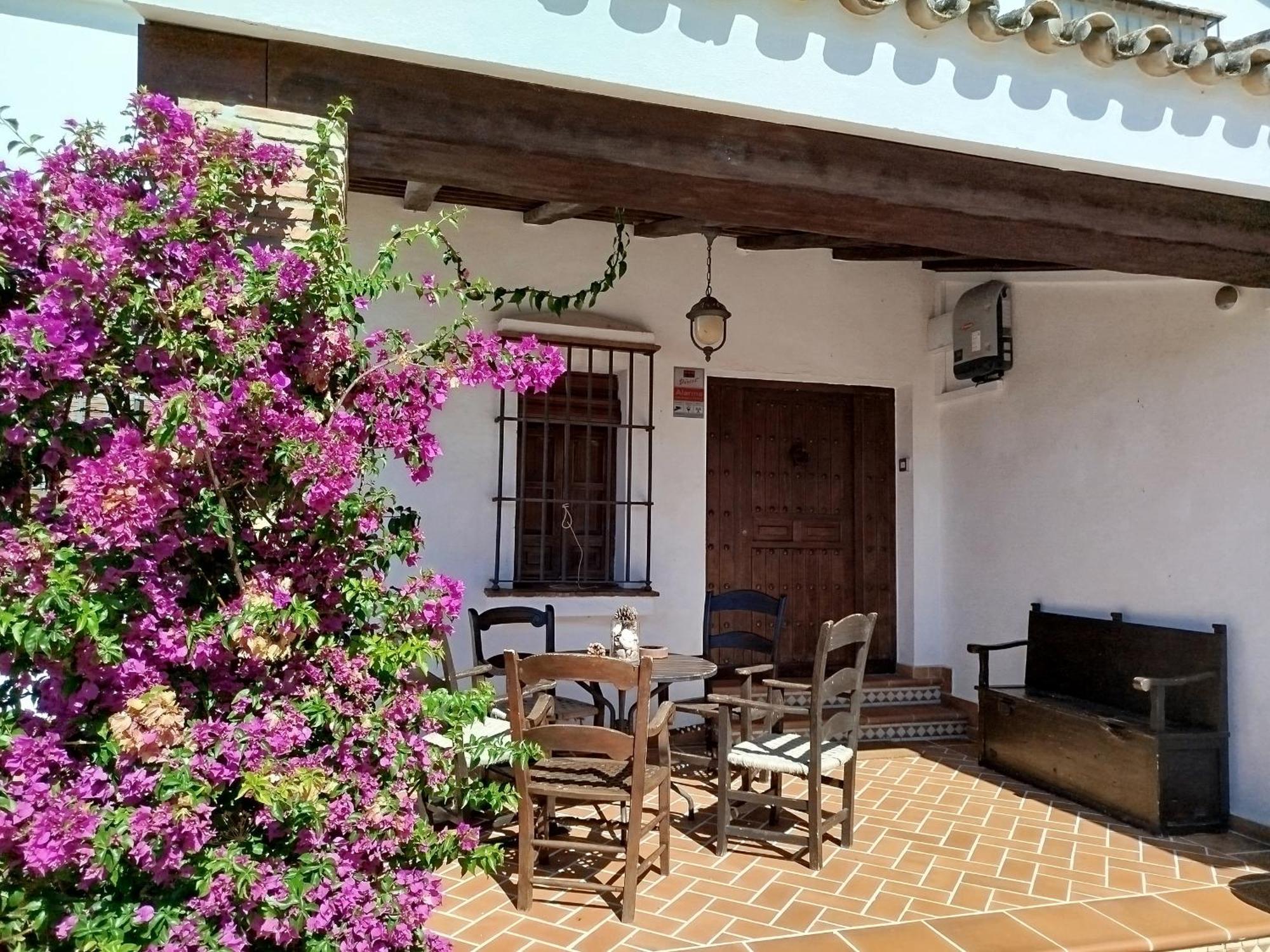 Villa Gran Casa Con Piscina Privada By Chiclana Dreams à Chiclana de la Frontera Extérieur photo